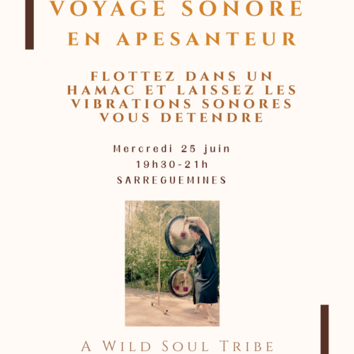 VOYAGE SONORE EN APESANTEUR