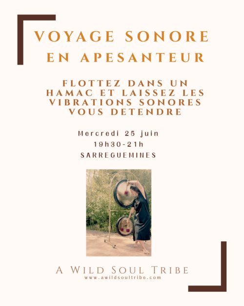 VOYAGE SONORE EN APESANTEUR