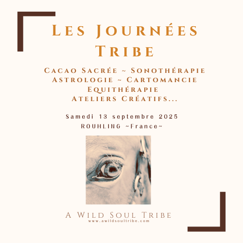 Les Journées Tribe ~13septembre~