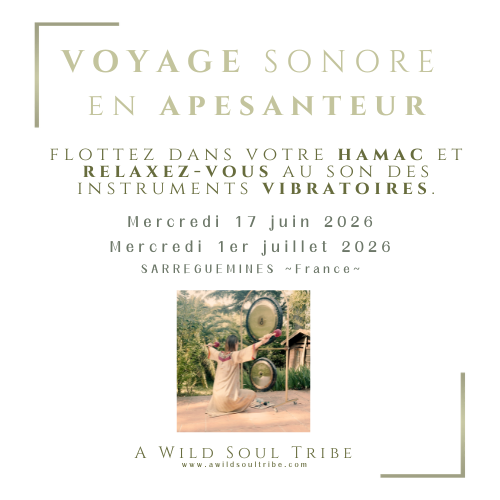 Voyage Sonore 1er juillet - resa