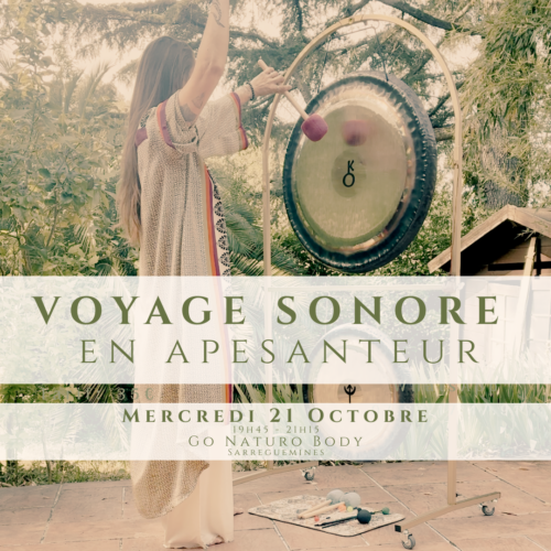 VOYAGE SONORE ~Sarreguemines